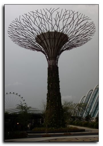 Tall artifical trees. One of going to allow us to enjoy a coffee out there.