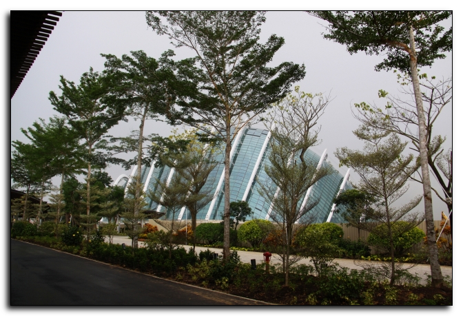 Gardens by the bay Singapore