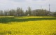 kashmir1